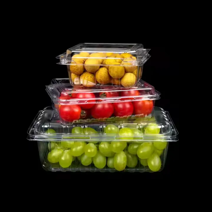 Thermoforming Machines for Lidded Plastic Fruit and Vegetable Containers