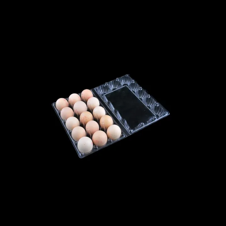 İnpak Makine - Plastik Yumurta Tepsisi - Kabı İçin Termoform Makinesi - Thermoforming Machines for Plastic Egg Trays and Containers